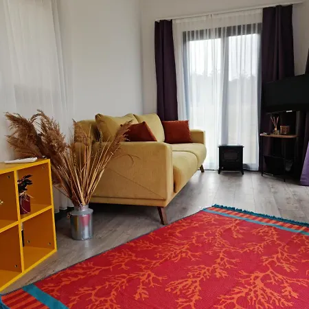 营地 Kucuk Evler Tiny Houses 伊斯坦布尔